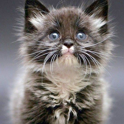 aída carolina ramirez tweet media