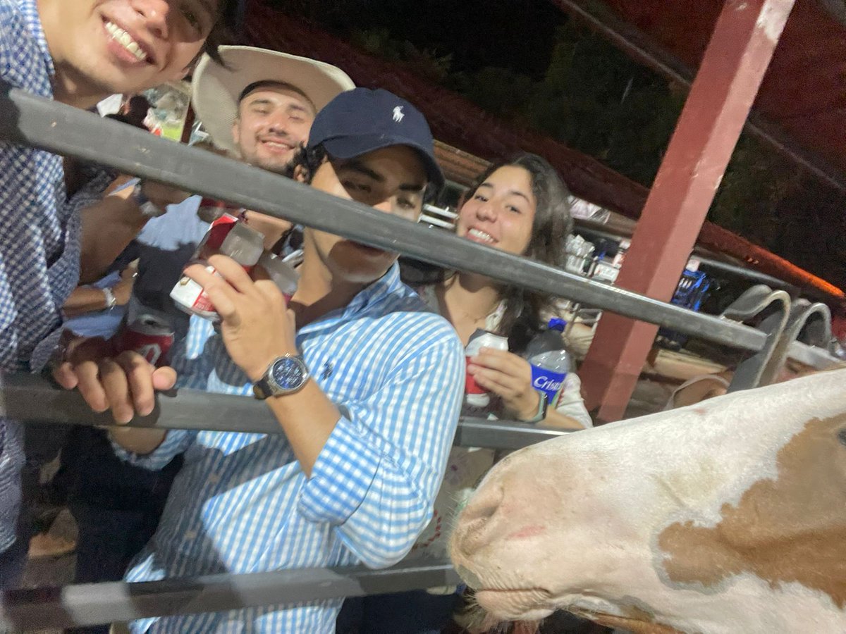 Yo creo que esta foto define lo bien que la pasamos ayer. 
Según nosotros nos sacamos una selfie con un caballo 😂.
<a href="/agts_18/">Alessia</a> <a href="/castromarco01/">M</a>