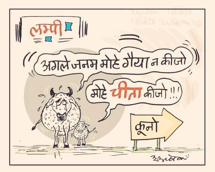 लाखों गाय मर कर भी मीडिया में वो खबरें #लाइम_लाईट हासिल नहीं कर पायी 

लेकिन 8 चीतों ने वो कमाल कर दिखाया । पूरा गोदी मीडिया चीतों से पट गया है 😴😕 #मास्टरस्ट्रोक