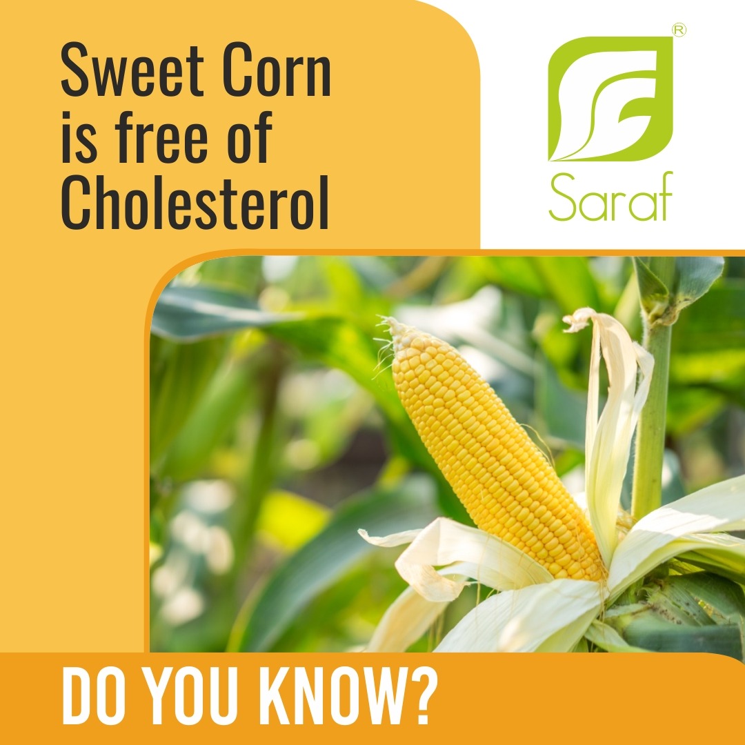 Saraffoods's tweet photo. #saraffoods #freezedrying #foodprocessing #foodingredients #iqf #frozen #airdrying #dehydration #frozenfoodfact #industrialtrivia #vadodara #gujarat https://t.co/yuFqjOZirc