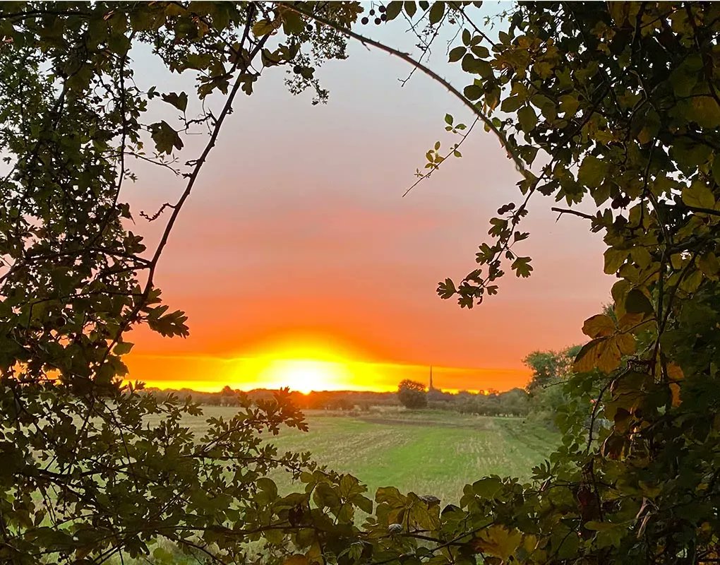 Decorque Cards tweet media