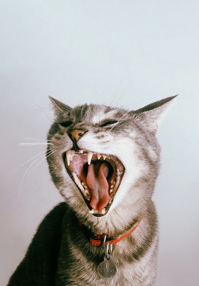 ramyeonjpg's tweet photo. 🧵 Not a Poem, Just a Scream
❤️ RTs appreciated!
✨ #WritingCommunity #MediumWriters #screaminginternally
🔗 https://t.co/5656WJ5pS0
1/7 https://t.co/q5wLB4oZHT