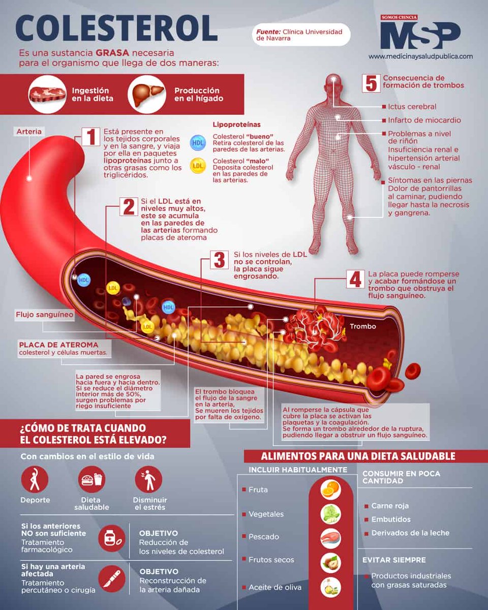 URiesgoV_HUJaen's tweet photo. 📆#DiaMundialColesterol
✅> 50 %🌍 #hipercolesterolemia
🚨🔎🧬 #HipercolesterolemiaFamiliar #FindFH
⛔️🚬🥃🛋📺 #dieta 🍔🍰
✅⬆️ consumo 🥗🍏🥕#DietaMediterranea #EVOO ➕⬆️🏃♂️🏊♀️#ejercicio
📈#Tratamientos #estatinas #ezetimibe 💊 #iPCSK9 💉
#URV_HUJAprevencion #HUJsemueve https://t.co/HffF9Nef4P