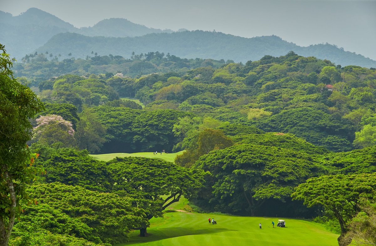 Book a tee time at Victoria Golf and Country Resort for your next game of golf !

#golflovers #golfcourse #golfing #golfresort #golfforeveryone #Kandy #Digana #trooninternational #jkp #Johnkeellsproperties