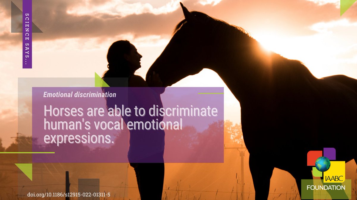 iaabc's tweet photo. Can horses tell when other horses are feeling happy/joy or fear/anger? Check out the original article to learn more! https://t.co/NjdjjDpoWB
#ScienceSaysSunday #horsebehavior #horseriding https://t.co/ZP81x045BT