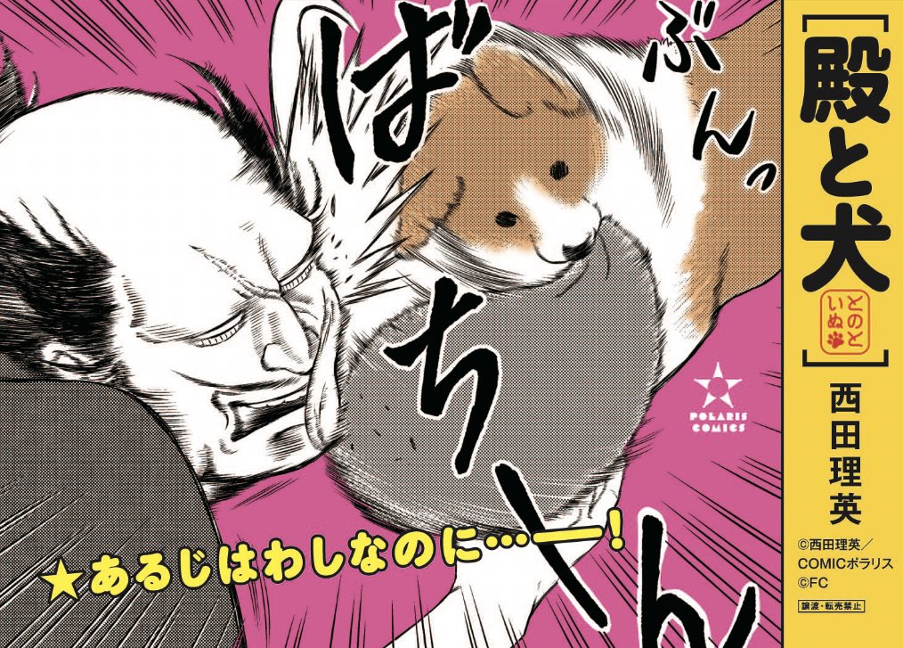 このイキの良さ、気に入った! 武士とコーギー『殿と犬』① ばちーんと発売中🐶🐯 👇マンガのお試し読みはこちら👇 https://unofficialbird.com/i/events/1564851067829231617?s=21&t=TVdv5ferXPyN7kdq5ZwqBw 👇コミックスできたて発売中👇