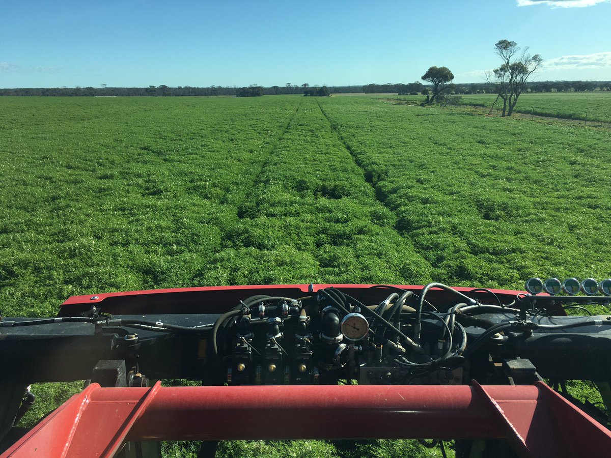 Ben Hobley tweet media