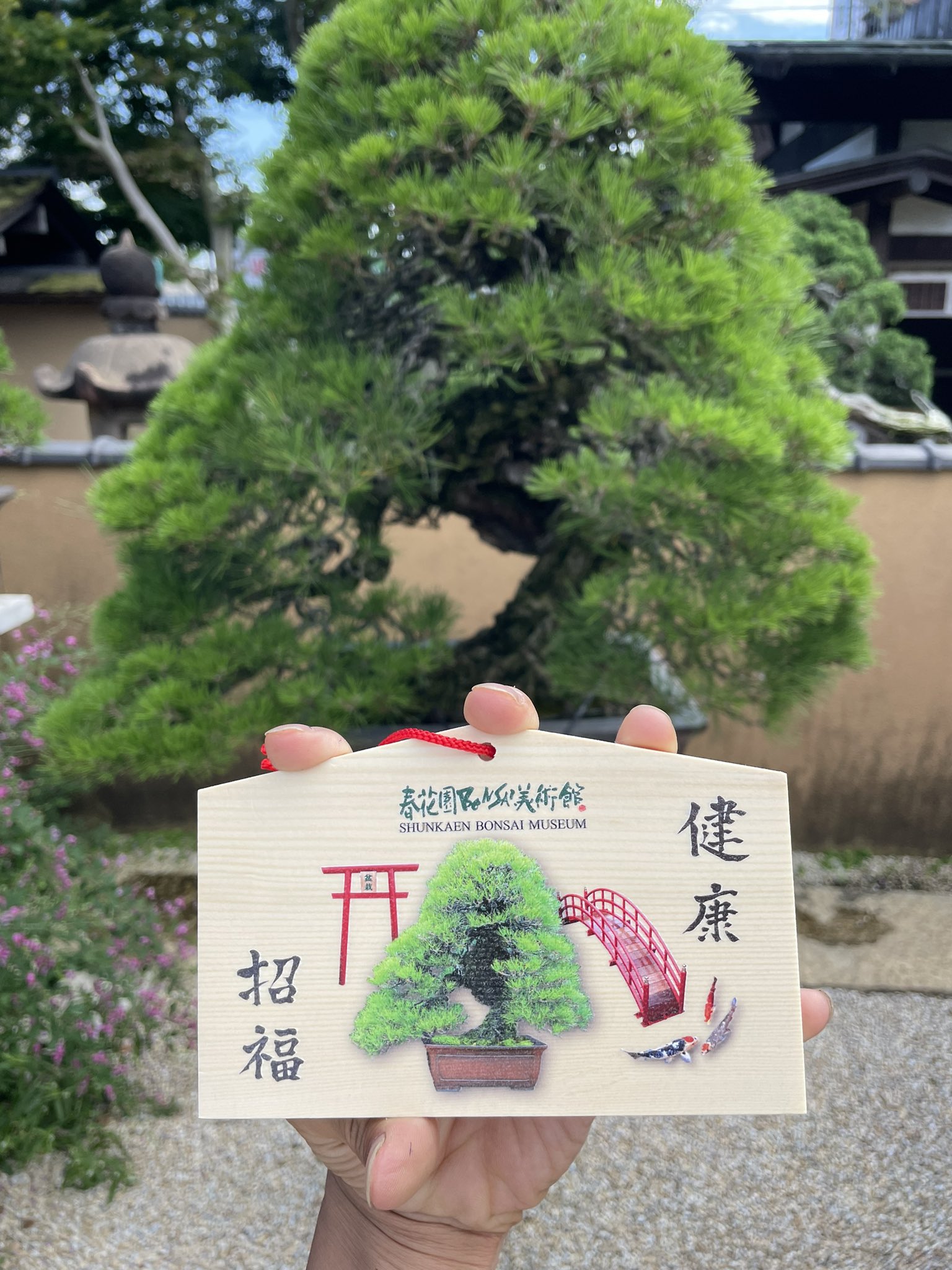 春花園bonsai美術館 館長 神康文 Yasufumijin Twitter