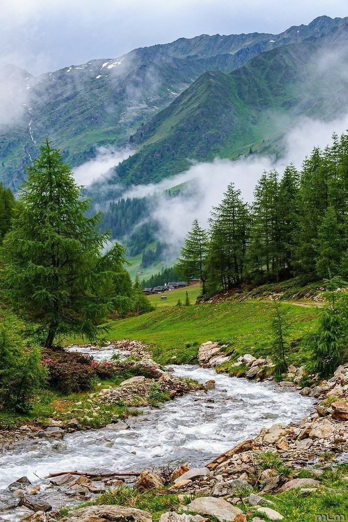 TravelDagger's tweet photo. Nature https://t.co/LzEk8dGCry