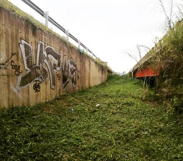 ufosvzla's tweet photo. Cali Colombia
2022
🇨🇴
Ras one

#Graffitilatino #ufoscrew #ufosvzla https://t.co/17q32SuOdN