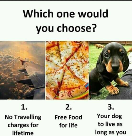 MindStarHelp's tweet photo. Which one would you choose?
#commments #interactive #mindhelp https://t.co/YfuVnZSEPS