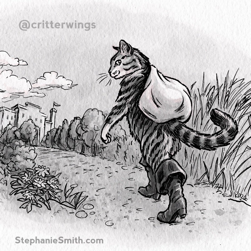 Stephanie Smith tweet media