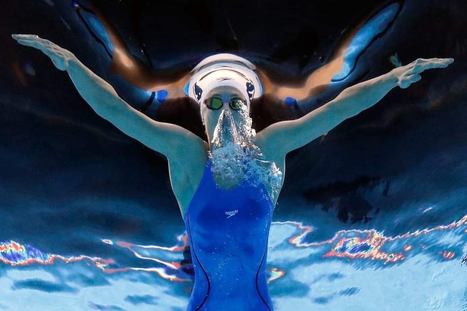 Antonio_Oca's tweet photo. #Natación Progresión de ejercicios de técnica de Bill Sweethenham
Braza:
https://t.co/xaTRO44YAZ
Crol:
https://t.co/6Sb7v6764w  
Espalda:
https://t.co/AeJJgvFAmZ  
Mariposa:
https://t.co/avchd8n6Lk https://t.co/9dgj80JhCd