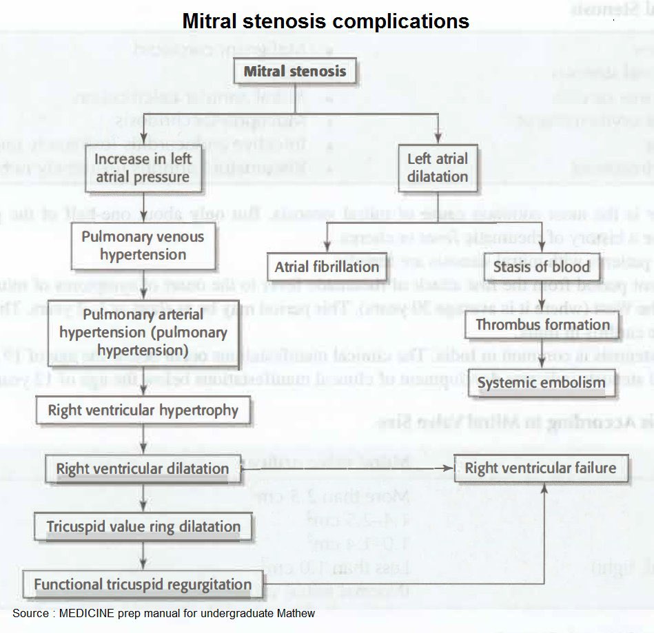 Top Biomedical Science (@imedverse) on Twitter photo Heart murmurs
<a href="/imedverse/">Top Biomedical Science</a> #Heart #CardioEd #Cardiotwitter #CardioScience #cardiology #Cardiovascular Heart murmurs
<a href="/imedverse/">Top Biomedical Science</a> #Heart #CardioEd #Cardiotwitter #CardioScience #cardiology #Cardiovascular