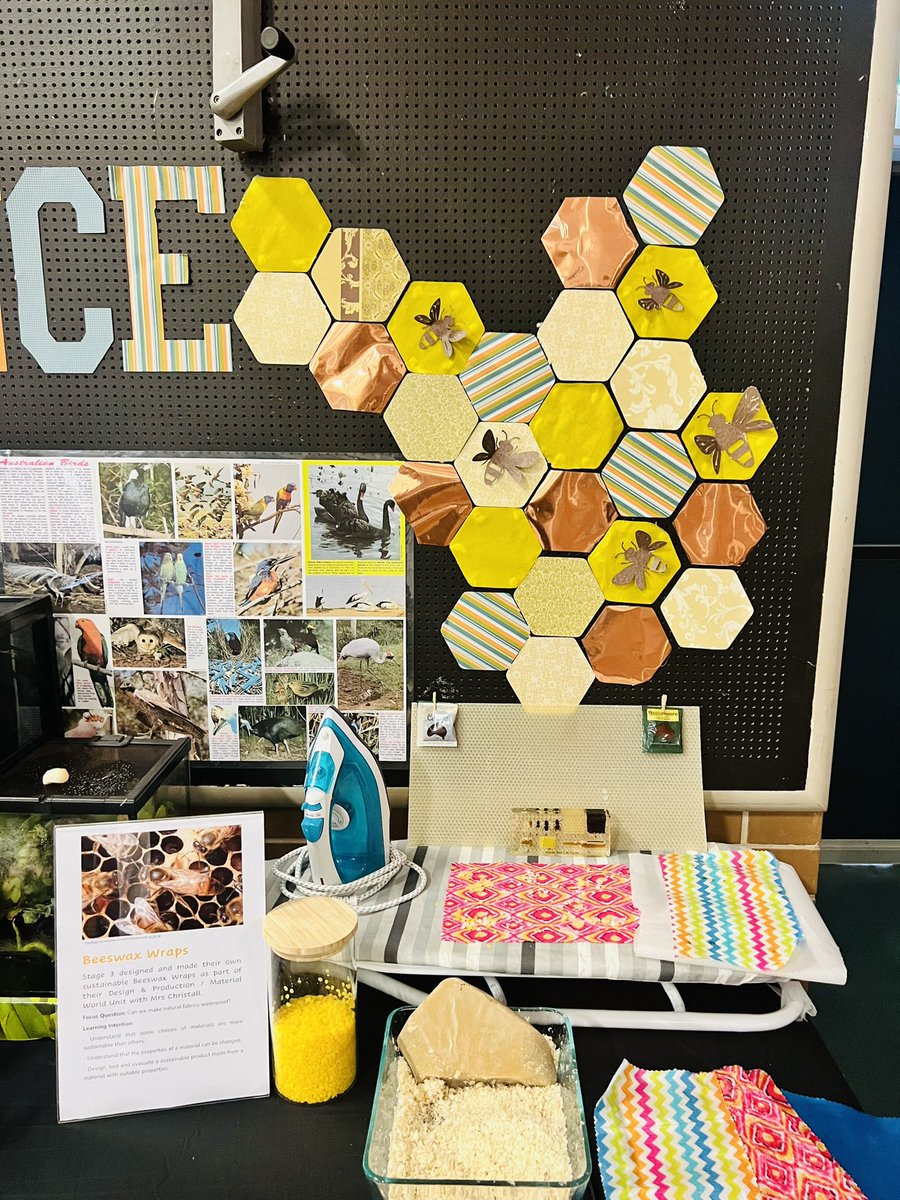 BEXLEY_NORTH_PS's tweet photo. It’s our Open Day today! #edweek2022 https://t.co/VzWJkXj3KY
