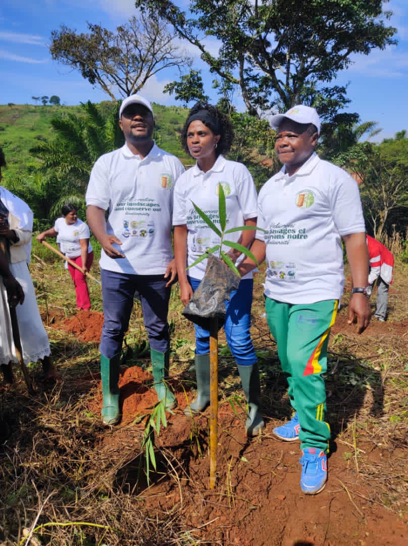 Univ_Dschang's tweet image. [Journée Internationale du Bambou]

René Nkaam, Dir Afrique centrale INBAR, Lucie Temgoua, R/DEPFOR, Émile Temgoua, Maire de Dschang.
#UDs #INBAR #depfor
