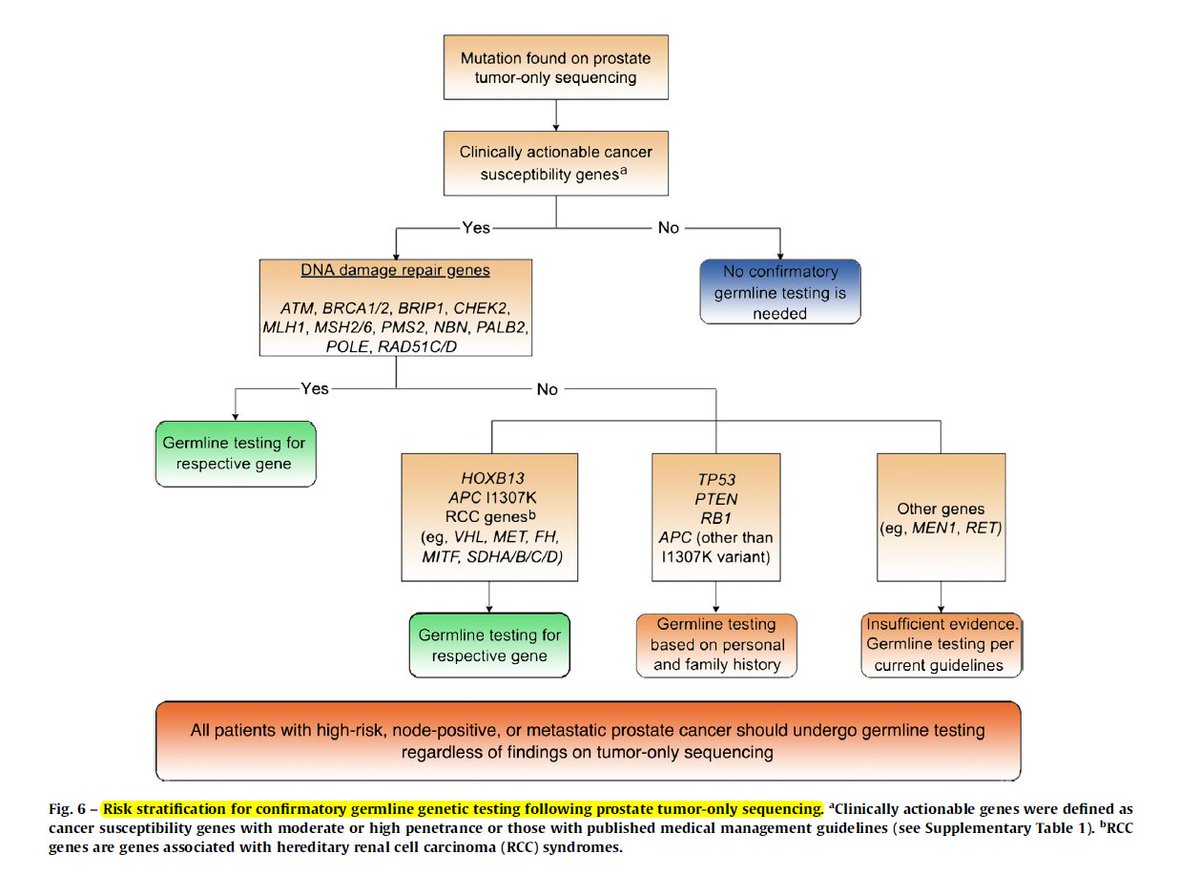 DrYukselUrun's tweet photo. 🔶1/5 of the patients with mutations in tumor sequencing have germline mutation, too. 
🔶They may have high risk for inherited cancer syndrome and genetic counseling should be provided.
@EUplatinum @OncoAlert @APCCC_Lugano @MSKCancerCenter @ASCO  @myESMO 
https://t.co/9TN5bf0sxr https://t.co/umf4CTzEKf