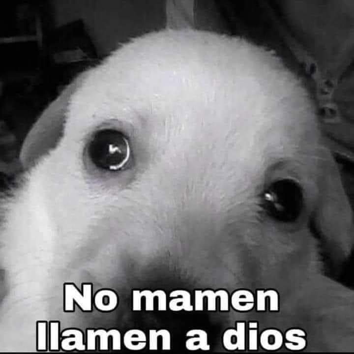 ichbinmily's tweet photo. ¡YA ES 19 DE SEPTIEMBRE! #sismo #Mexico https://t.co/7IclxSHpFD