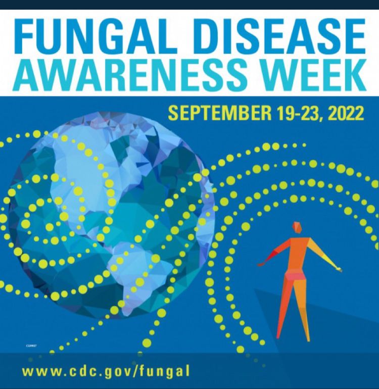 Perfect timing of #ISHAM2022 in New Delhi, as 19-23sept is Fungal disease awareness week. Join us for learning All about fungus. #thinkfungus @ISHAM_Mycology @JacquesMeis @CDC_AR lookout the scientific program isham2022.org/scientific-pro…