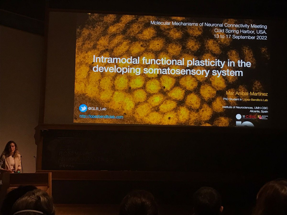 Congrats to @Mar_AnibalM a senior PhD student in my lab for her beautiful talk at @cshlmeetings in circuit development with @yiminzounew and co-organizers! Well done Mar! @GLB_Lab @NeuroAlc