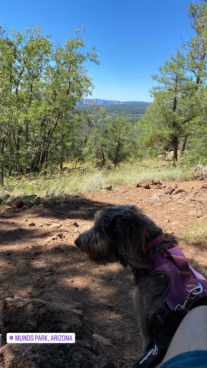 Kyle_lk7's tweet photo. Sunday funday ❤️ https://t.co/xn5hT5TRuA