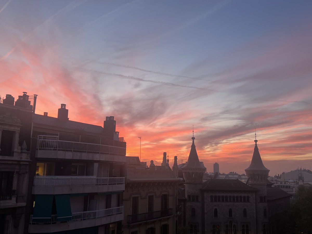 Judith Anton tweet media