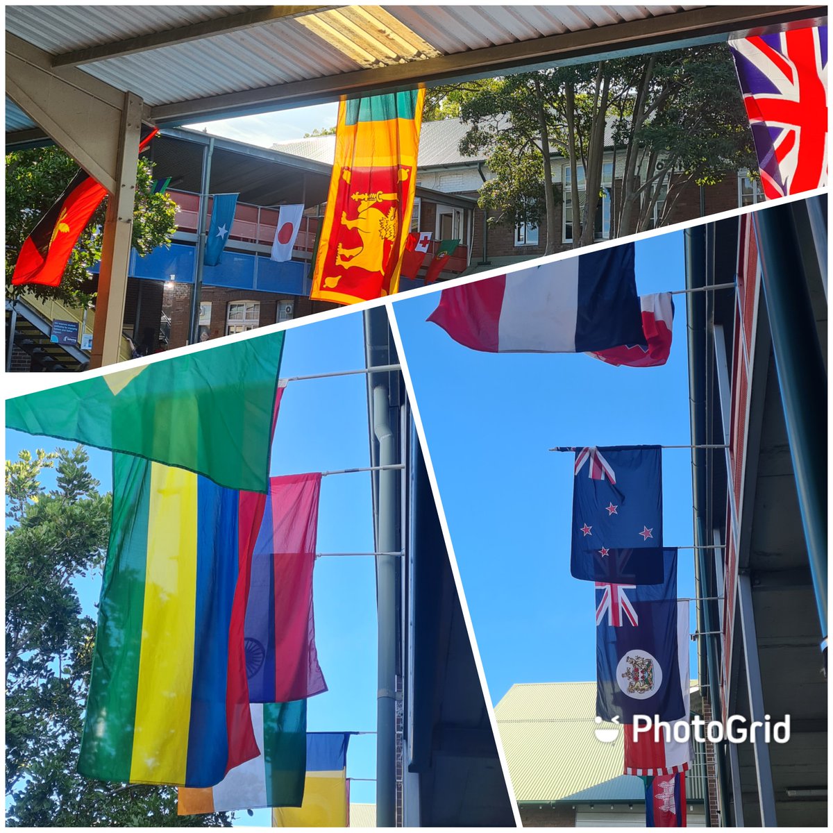 Campsie P.S. (@campsieps) on Twitter photo Preparations are under way for the long-awaited return of the Campsie PS Multicultural Festival!
<a href="/Cookbb/">Berlinda Cook</a> <a href="/MattyDLewis/">Matt Lewis</a> Preparations are under way for the long-awaited return of the Campsie PS Multicultural Festival!
<a href="/Cookbb/">Berlinda Cook</a> <a href="/MattyDLewis/">Matt Lewis</a>