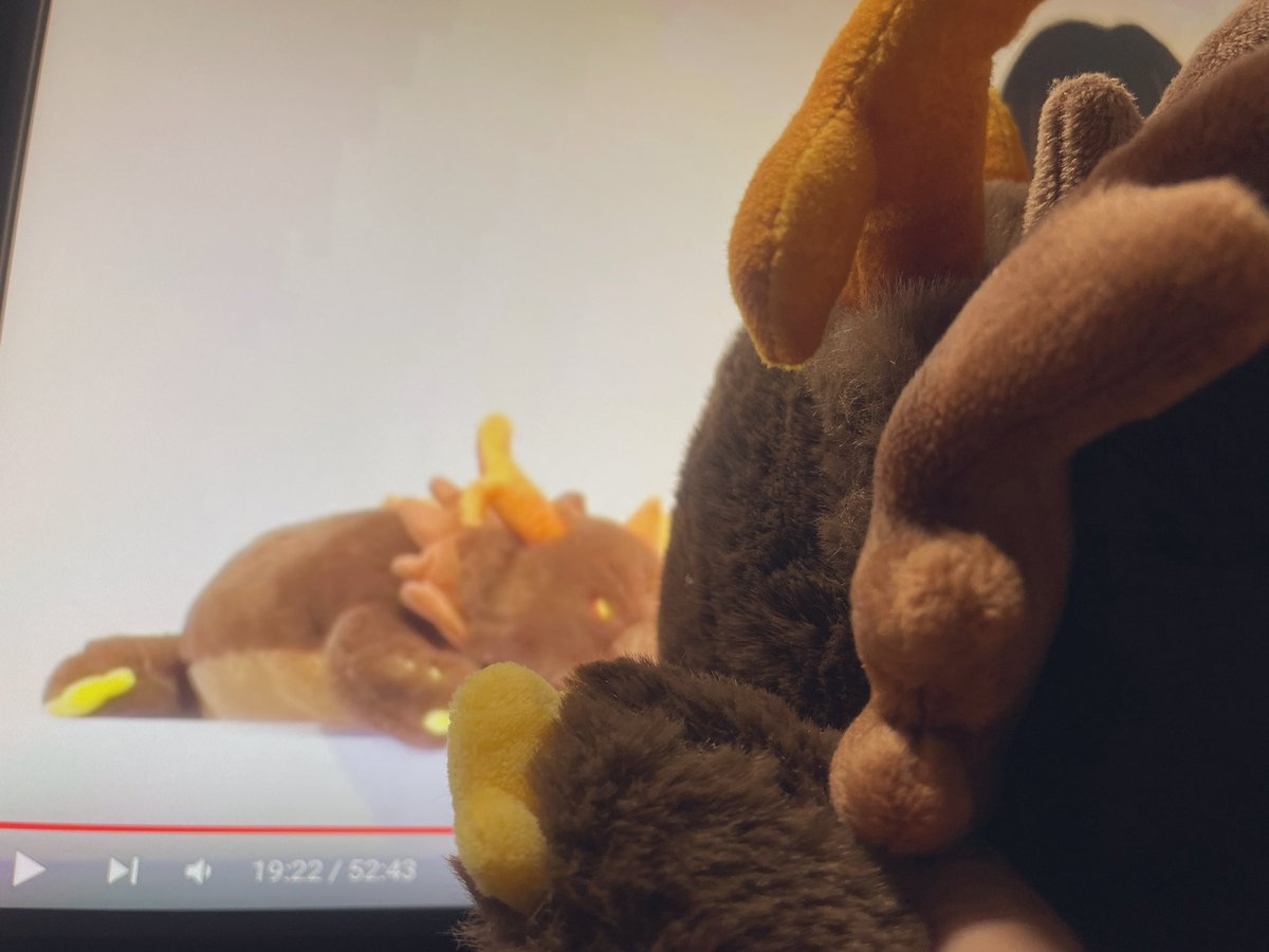 本日のていくん日記📖☡✍仲間を見つけて興奮するていくん😳ふわふわタッチ