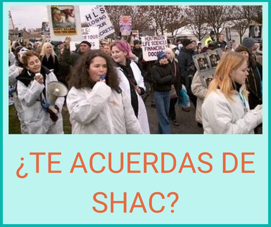 ¿Te acuerdas de #SHAC?
12 meses al año, 30 días al mes, 24 horas al día. Hundiendo el negocio de la vivisección.
Si queremos ,#Victorias, tendremos que pelearlas. 
¡A por el lunes!
#CerremosVivotecnia #PorLosAnimales #FightForAnimalRights