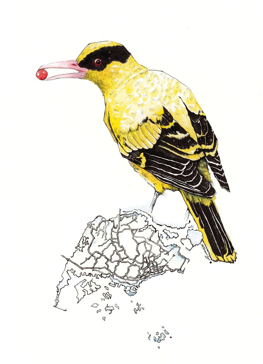 Kate Cranney tweet media