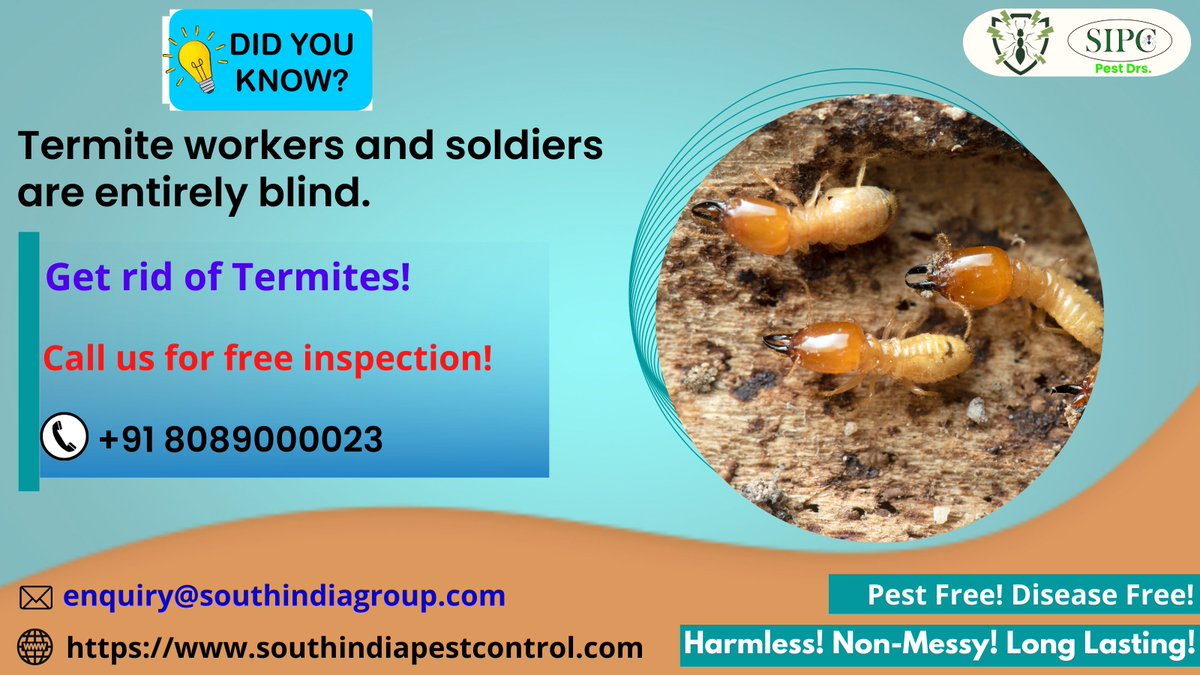 sipcpestcontrol's tweet photo. If you have termite Problem, then call SIPC to get rid of termites.
Visit: https://t.co/1u3QWV60pa
Call: 8089000023
Email: enquiry@southindiagroup.com
#termites #termitecontrol #termitefumigation #termiteprevention #termitespecialist #termitecontrolservice #pest #pestcontrol https://t.co/dTbNXaRDCS