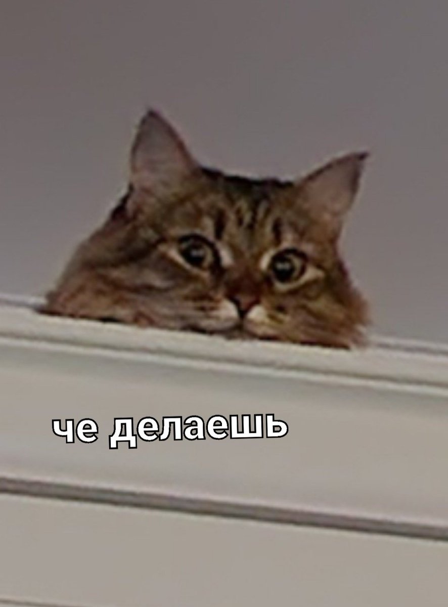MarcyLi3's tweet photo. @krasnoushka https://t.co/W0vR7USzYE