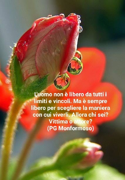 pagiomonfi's tweet photo. L'uomo è colui che sempre si decide...

#pagiomonfi https://t.co/ESCglaExSZ