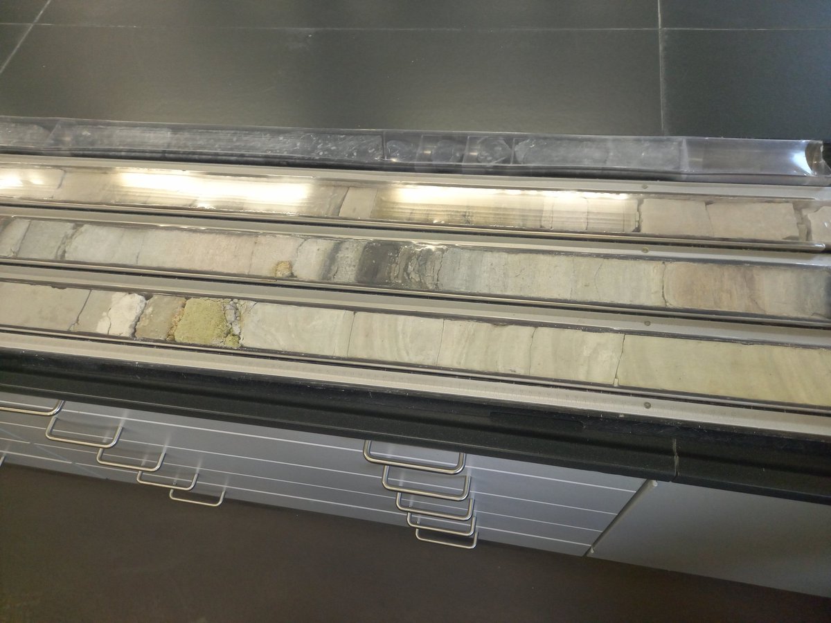 Hakan Ucar tweet media