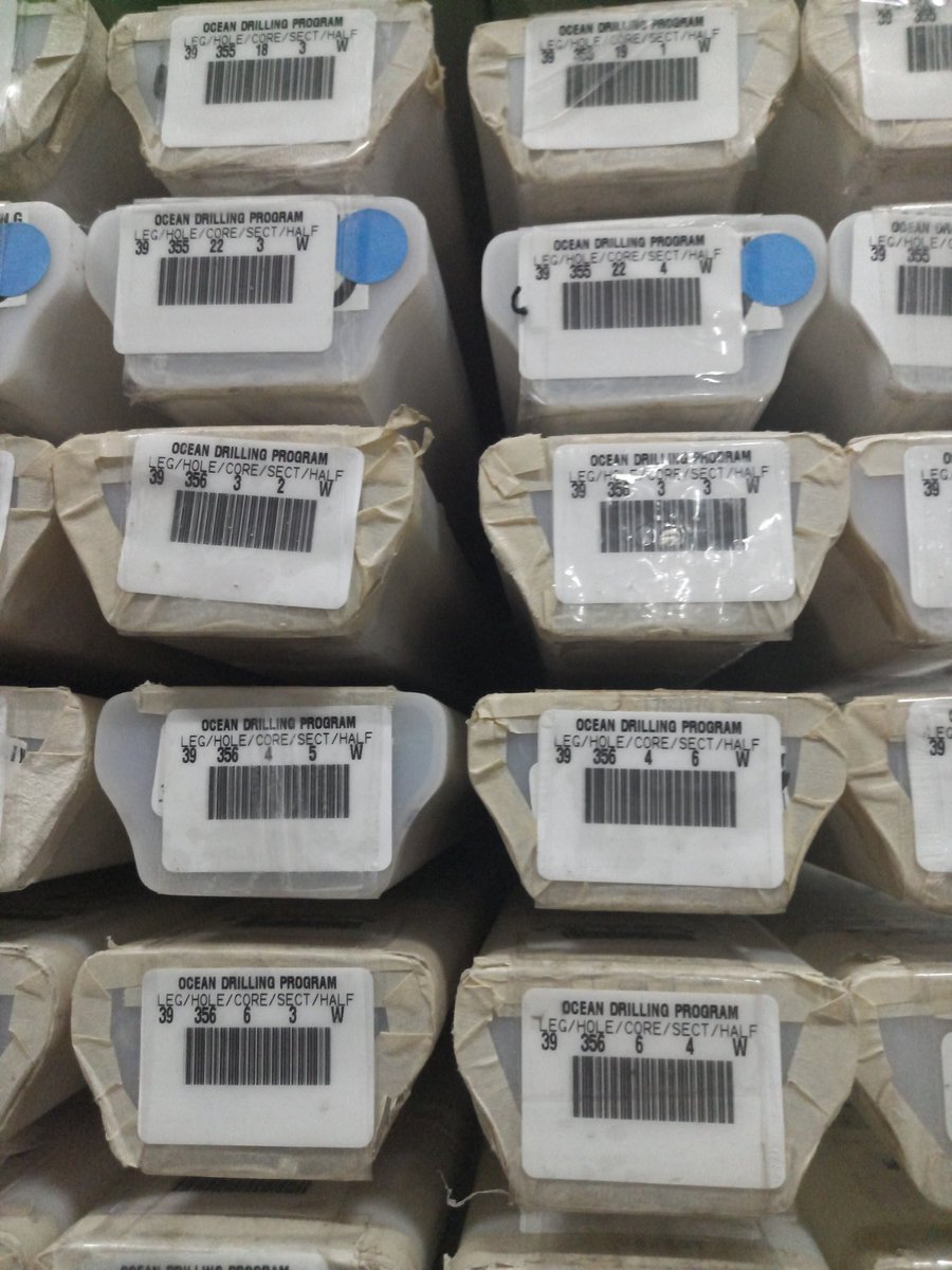 Hakan Ucar tweet media