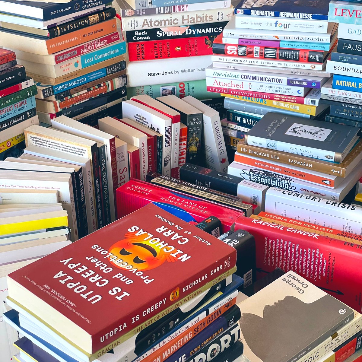 poorbjorn's tweet photo. “The greatest luxury I know is sitting up reading in bed.”
- Eleanor Roosevelt

#reading #nonfiction #books https://t.co/5IAiR1OK8s