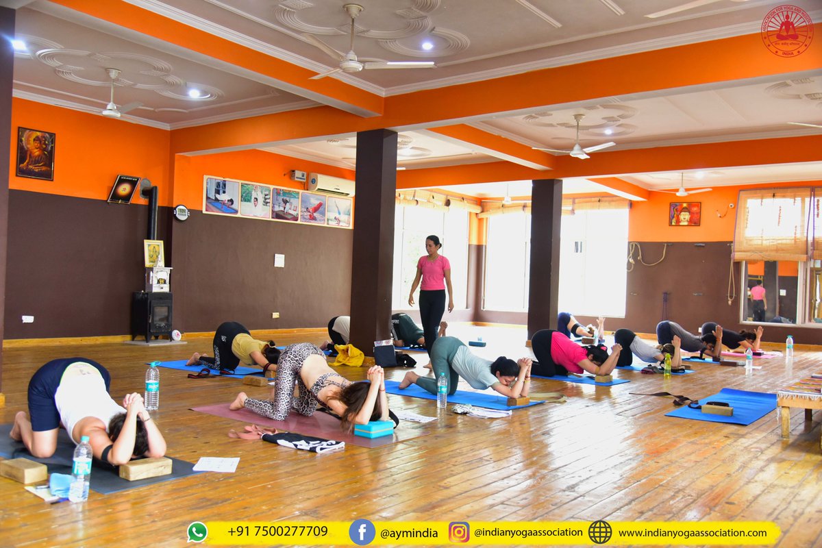 aymindia's tweet photo. Preparation of Shoulder Stand in today's Ashtanga Yoga class by our 200 hour yoga ttc students. #ashtanga #ashtangayoga #ashtangavinyasa #ashtangacommunity #ashtangayogalove #shoulderworkout #shoulderstand #shoulderstandvariation #yogateachertraining #yogattc #yogaforall https://t.co/tvygHidEge