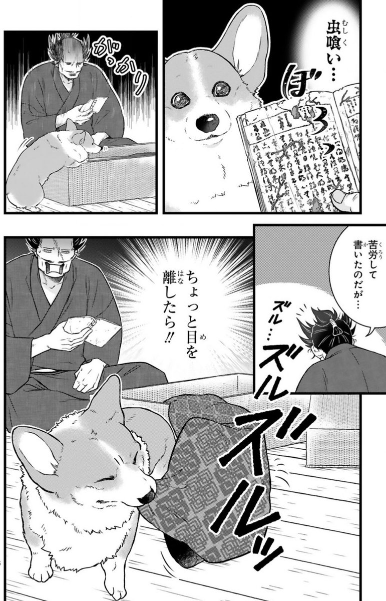 雨の日の愛犬との過ごし方①  #殿と犬 #コーギー