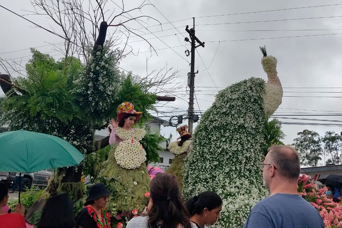 Federales de Chiriquí tweet media