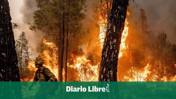 DiarioLibre's tweet image. 🇺🇸 | #DiarioLibreUSA | Clima más frío ayuda en combate a incendio en California

🔗ow.ly/EIxT50KGq4j

#DiarioLibre #Incendio #California #ClimaFrío #Ayuda