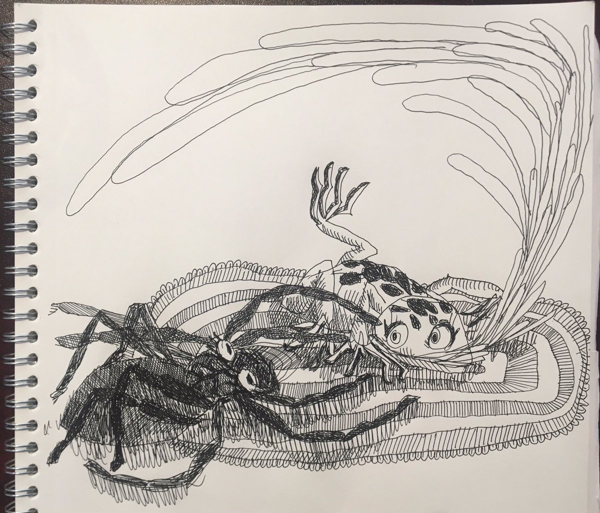 blackmoldhouse's tweet photo. Spider and Frogge best friends https://t.co/jaKPZKpyJp