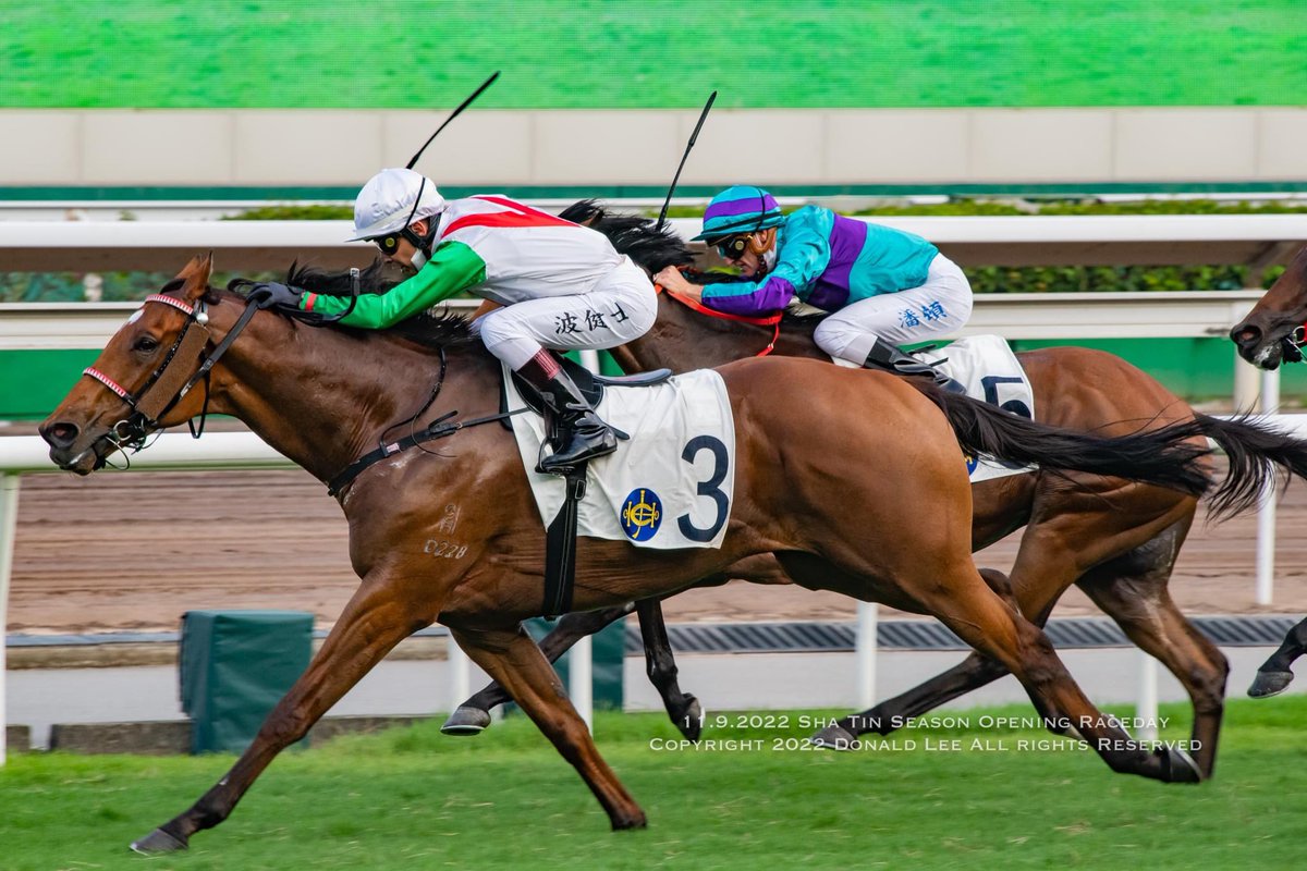 LeeMingDonald's tweet photo. 11.9.2022 Sha Tin
Season Opening Raceday
Race 9 Class 2 1400m
Good Luck Friend #vagnerborges
#HKracing #HorseRacing #Jockey #horseracingphotogrpahy #競馬 https://t.co/TZxVZYgmSG