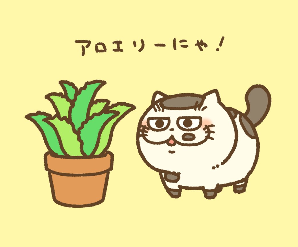 no humans cat plant simple background animal focus yellow background potted plant  illustration images