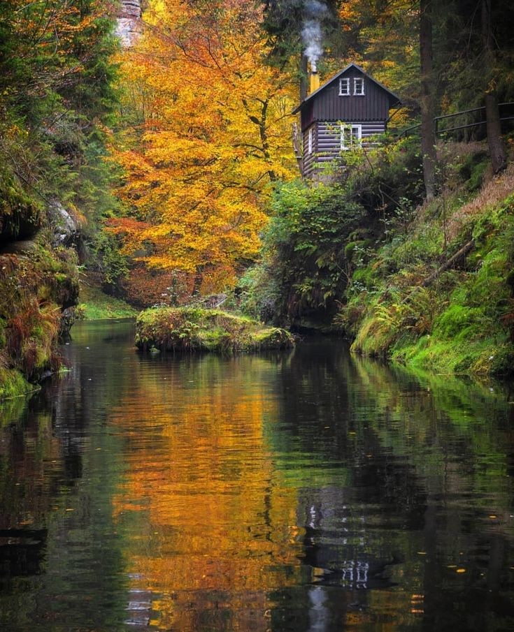 h e l e n a ☃️🌸🍁 tweet media