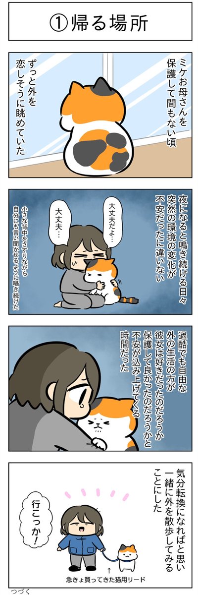 「帰る場所」
(はる蔵さんの「ふうらい日和」第64回)

つづきはこちら⇒https://t.co/LW7OjsbkRB 
