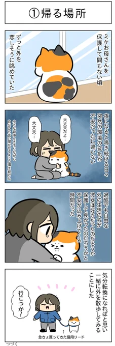 「帰る場所」
(はる蔵さんの「ふうらい日和」第64回)

つづきはこちら⇒https://t.co/LW7OjsbkRB 