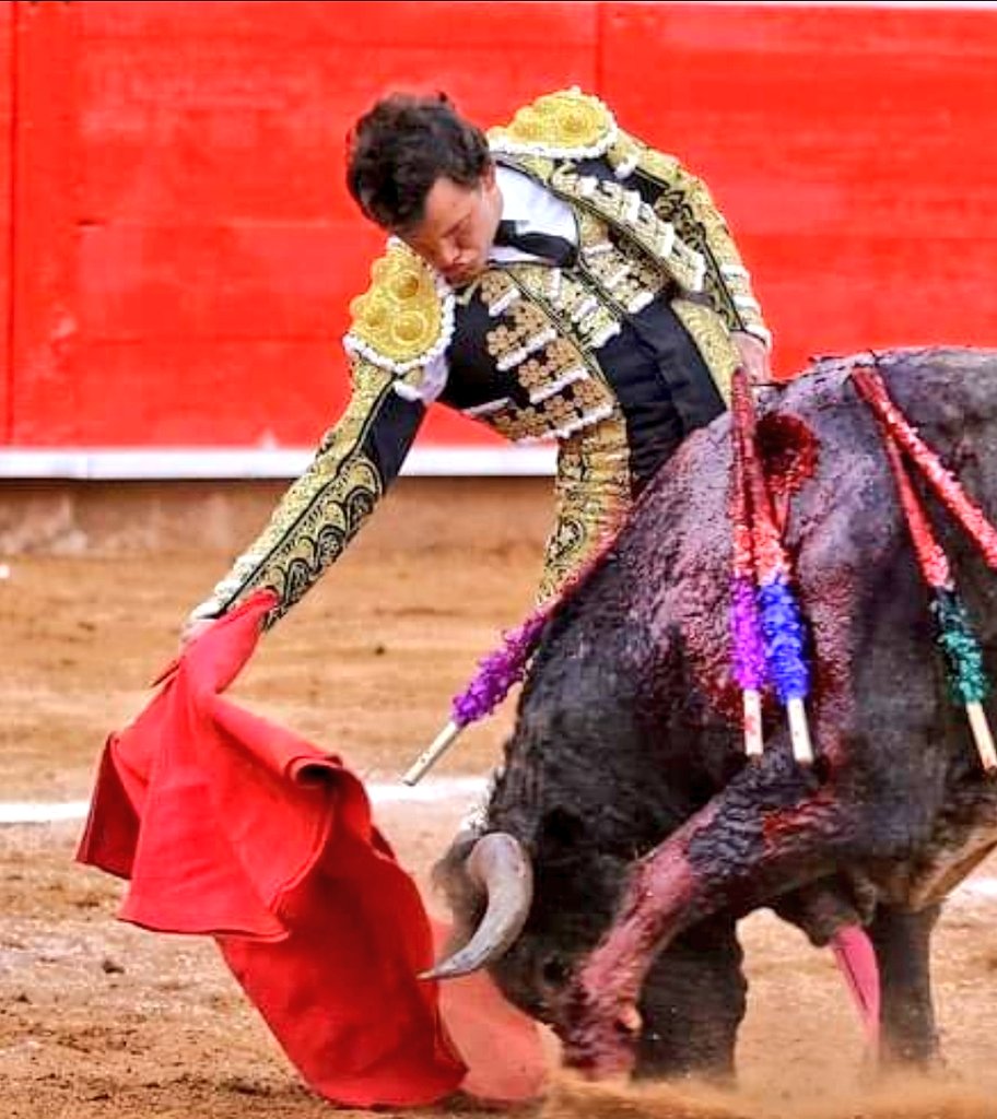 Angel P.T. tweet media