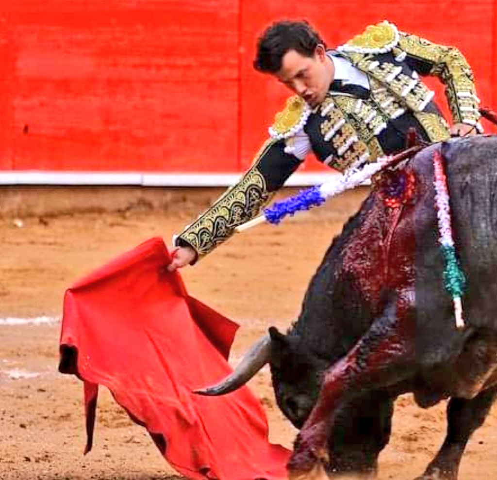 Angel P.T. tweet media