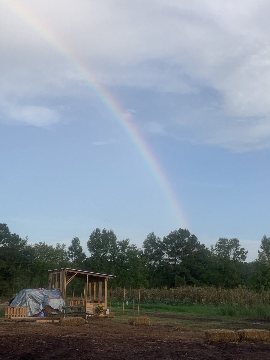 tonnyef's tweet photo. I needed this rainbow ๐ today! Thankful for His promises in the midst of stormsโฆ #stormyseason #nottheweather ๐ https://t.co/Jl3mVb0nPQ