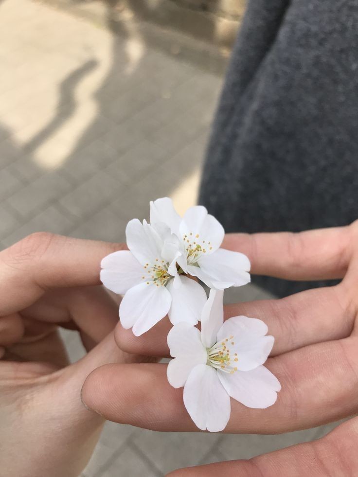 ⋆ 8.3K ⛄ | buzón !! tweet media